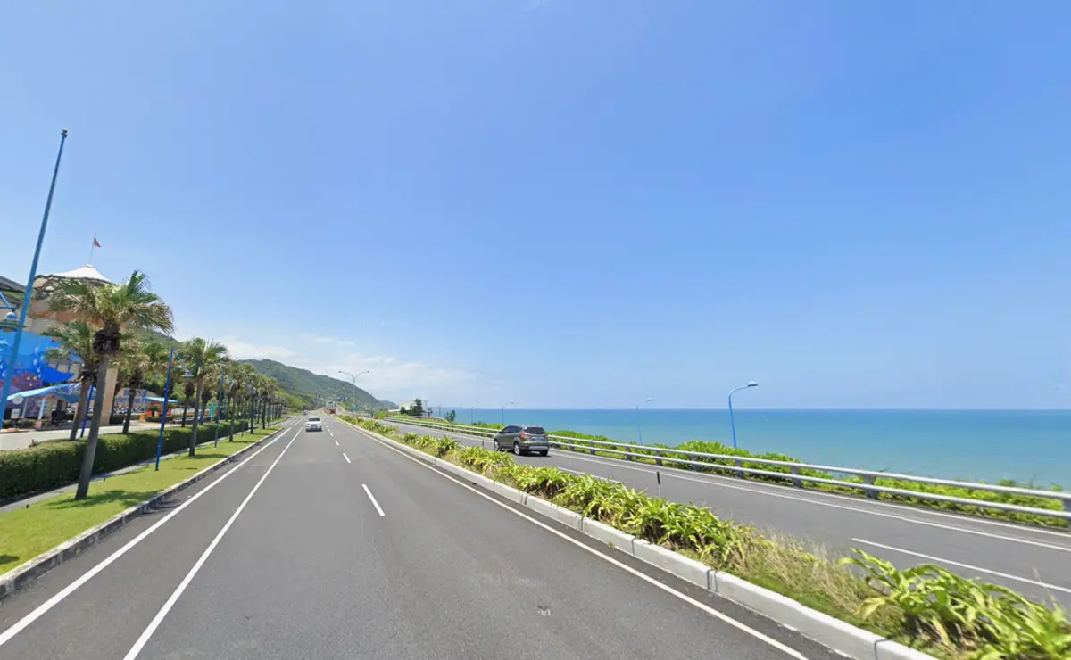 花蓮海洋公園前頻傳流浪狗釀車禍,網友呼籲「結紮」才能減少悲劇!