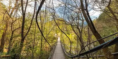 和平區新秘境!泰雅青年打造「山嵐居」民宿開幕,入住即享環山部落深度導覽