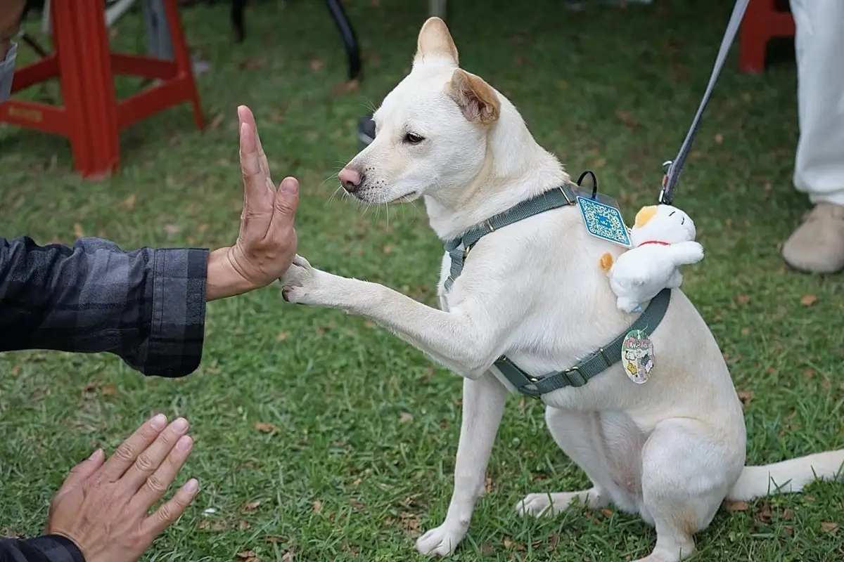 圖片來源:花蓮縣政府