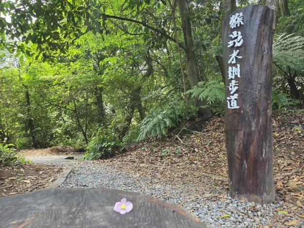 圖片來源：臺北市政府