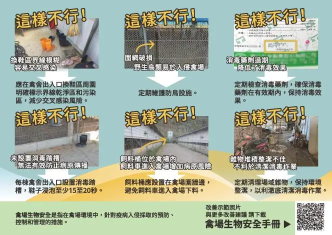 苗栗禽流感拉警報!強烈冷氣團來襲 籲214場養禽戶嚴防死守