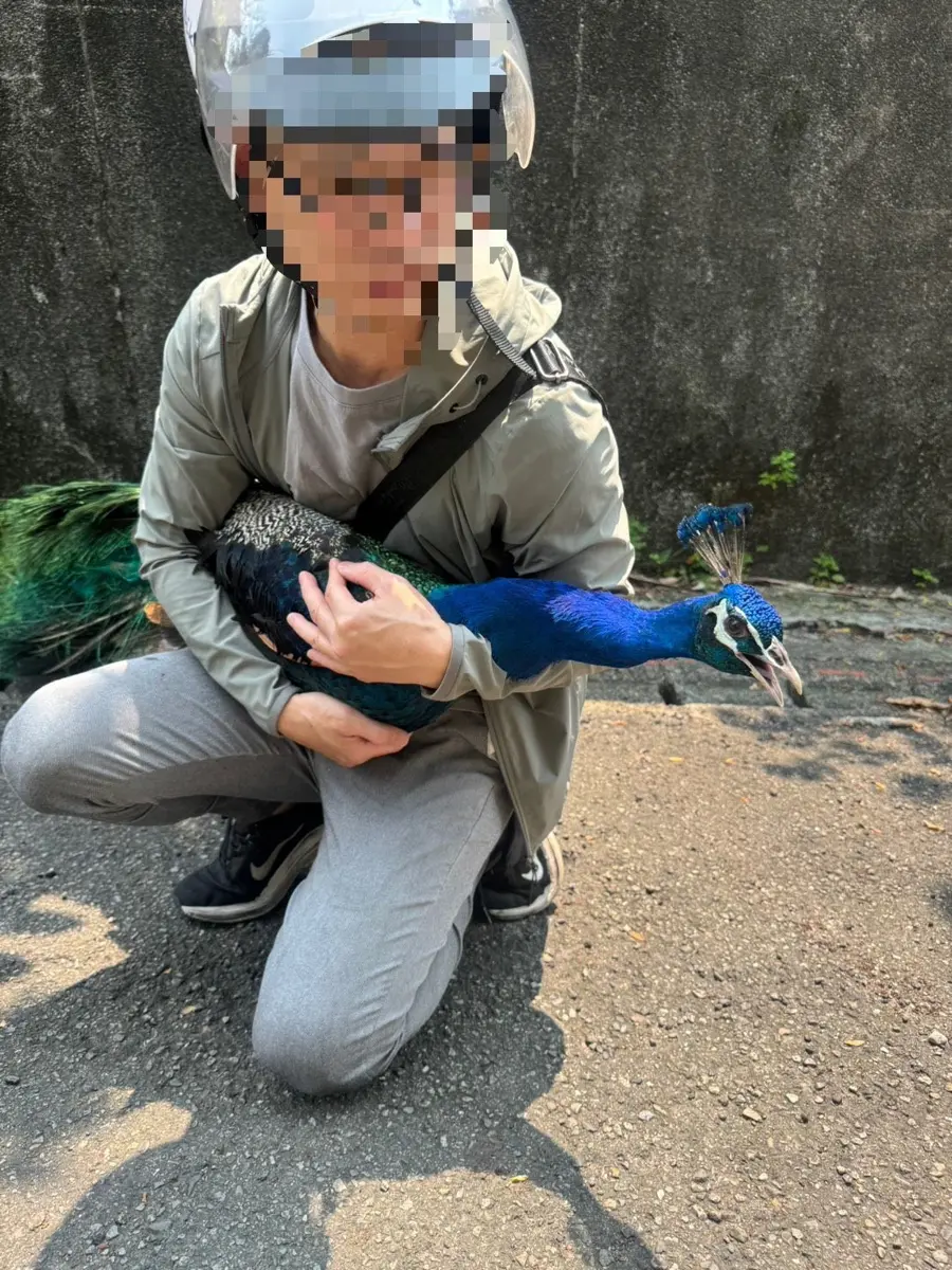 圖片來源：臺北市政府