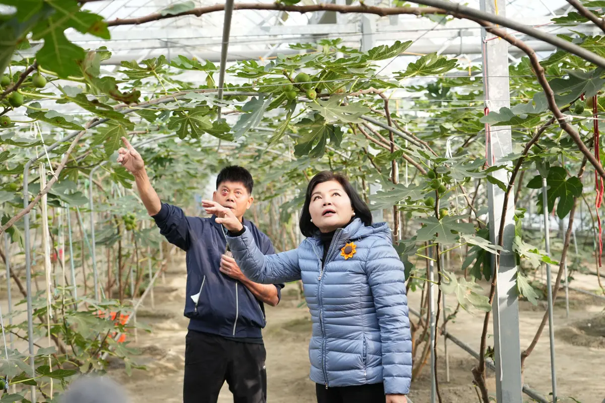 圖片來源:雲林縣政府