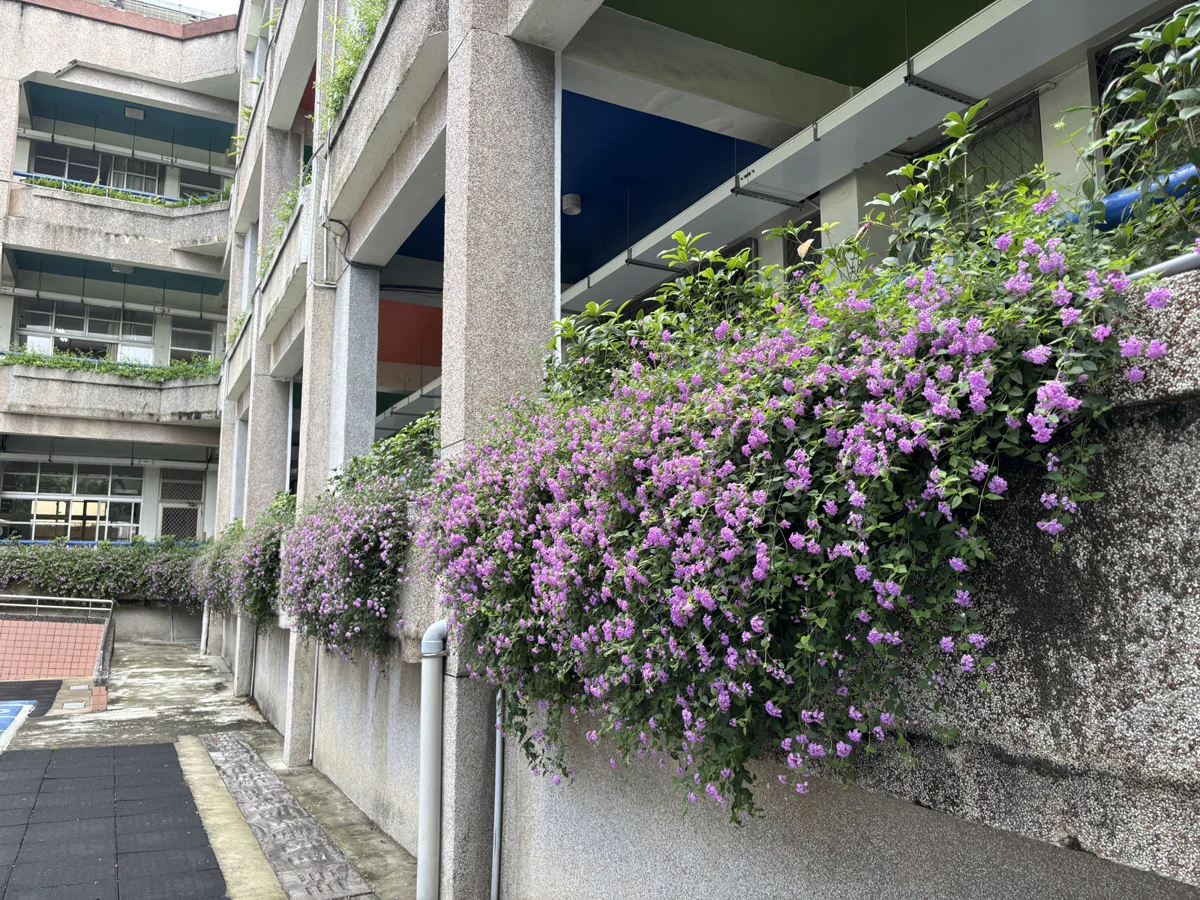 圖片來源：臺中市政府