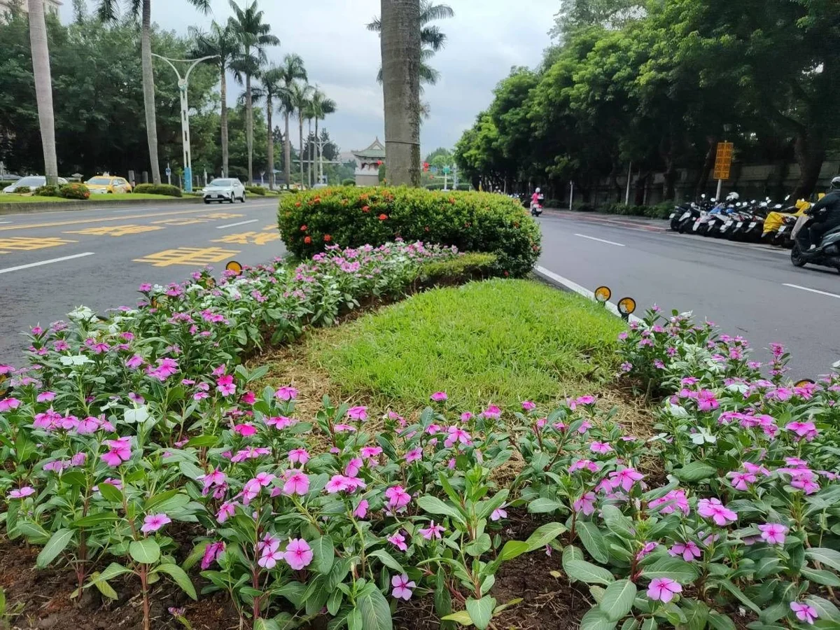 圖片來源:臺北市政府