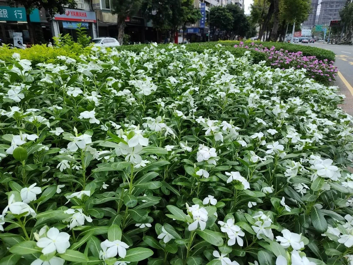 圖片來源:臺北市政府