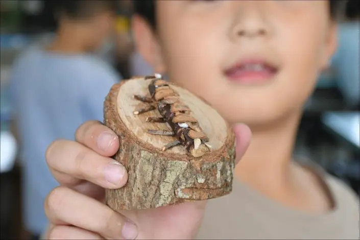 圖片來源:苗栗縣政府