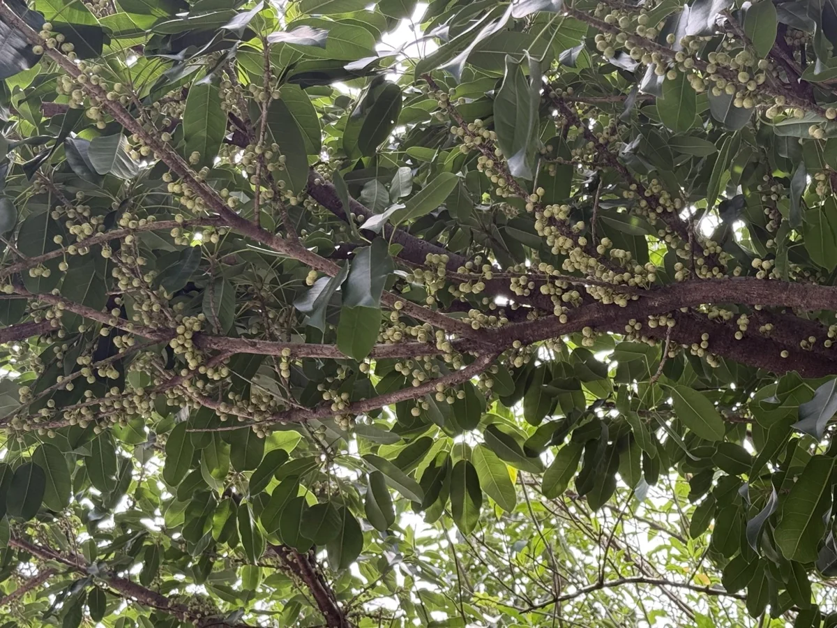 圖片來源:臺北市政府