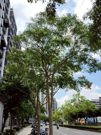 圖片來源:臺北市政府