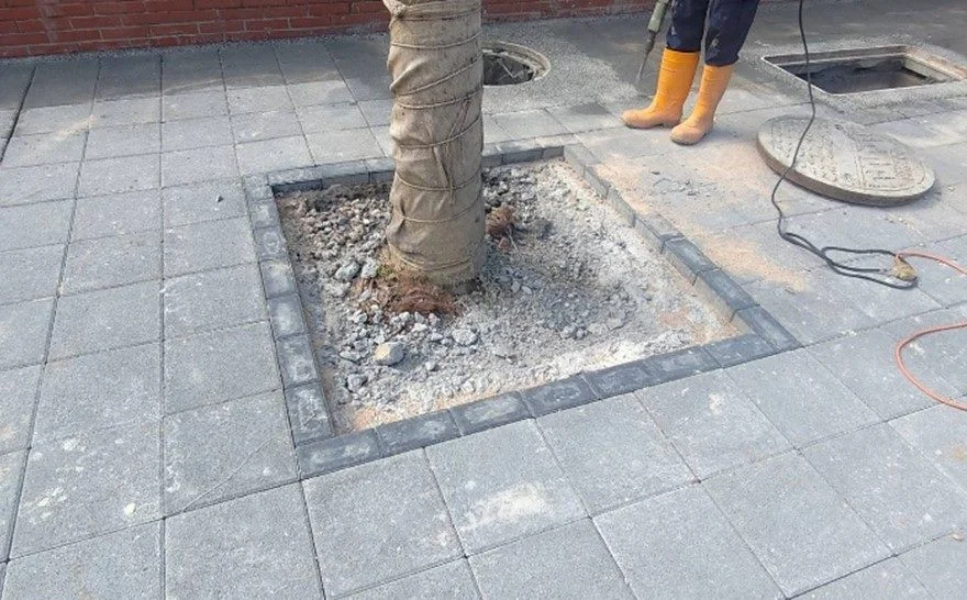 圖片來源:臺北市政府