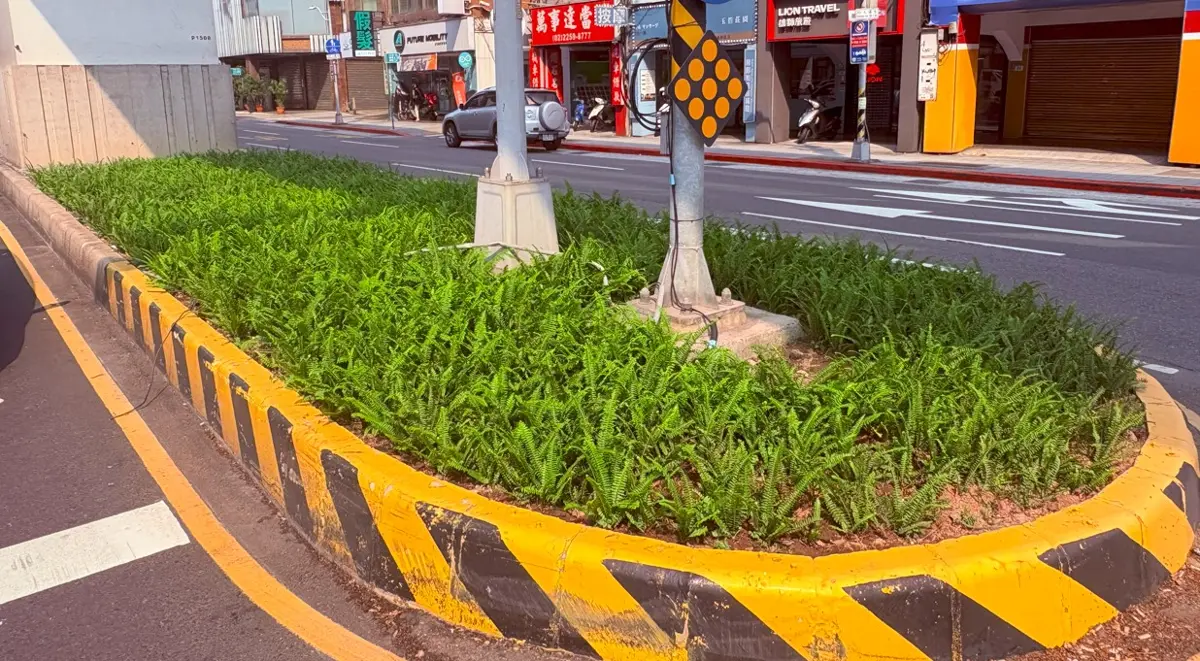 圖片來源：新北市政府