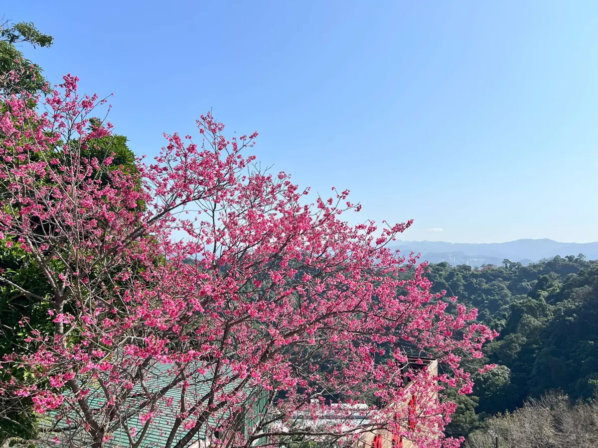 圖片來源:新北市政府