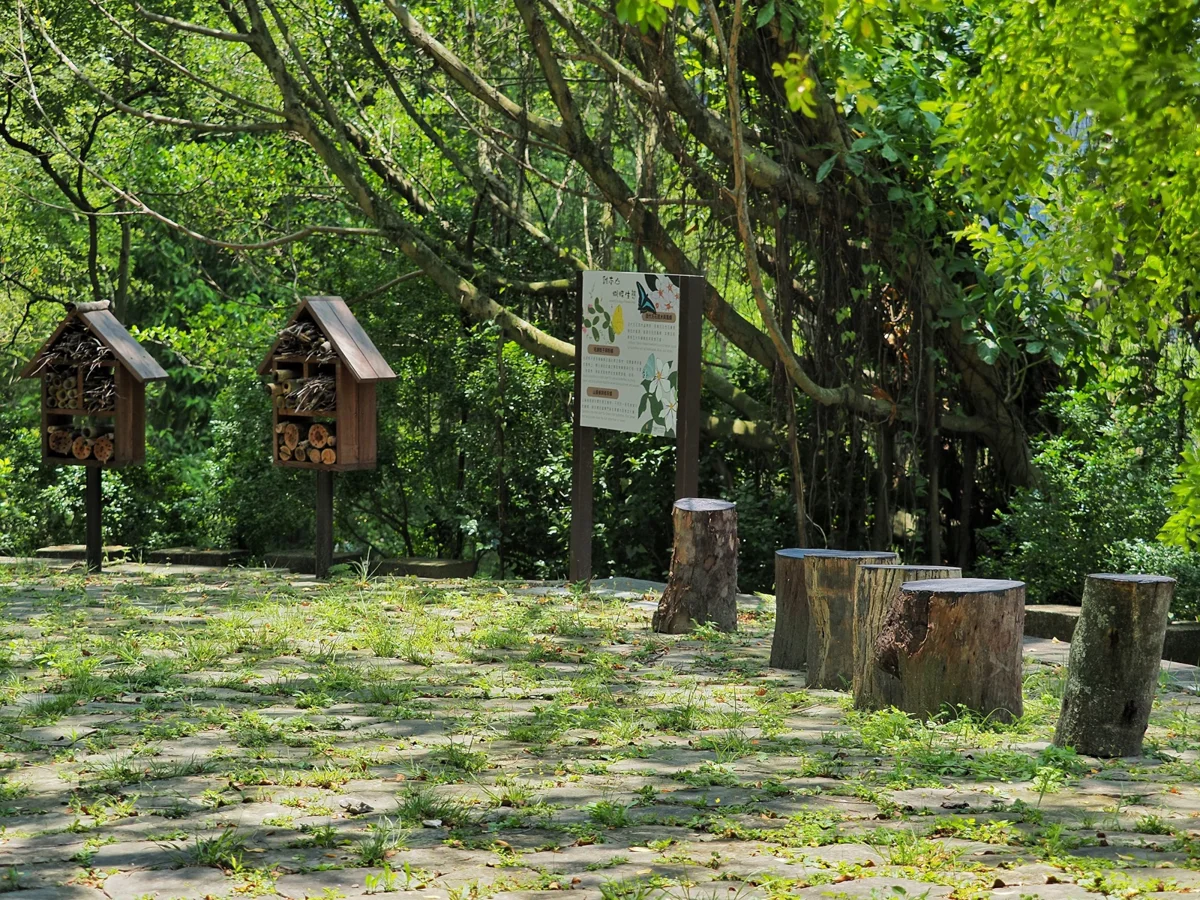 圖片來源：臺北市政府