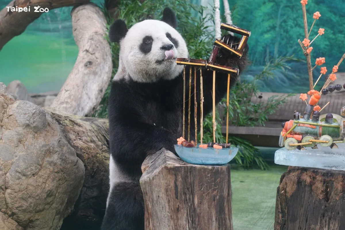 圖片來源:臺北市政府