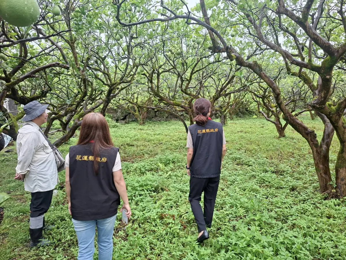 圖片來源:花蓮縣政府