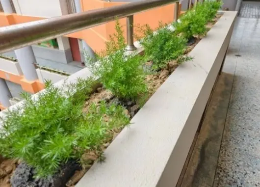 圖片來源:新竹市政府