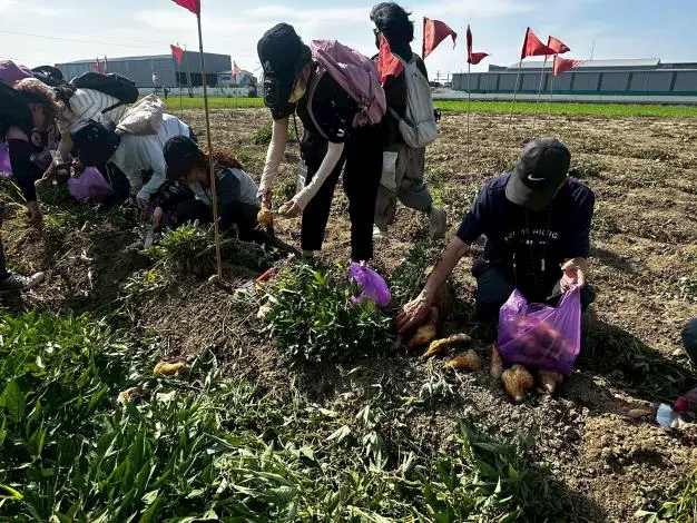 圖片來源:臺南市政府