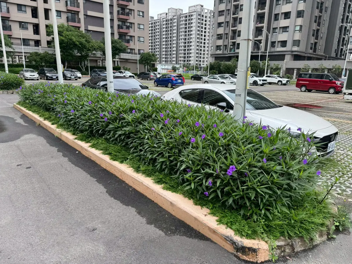 圖片來源:臺中市政府