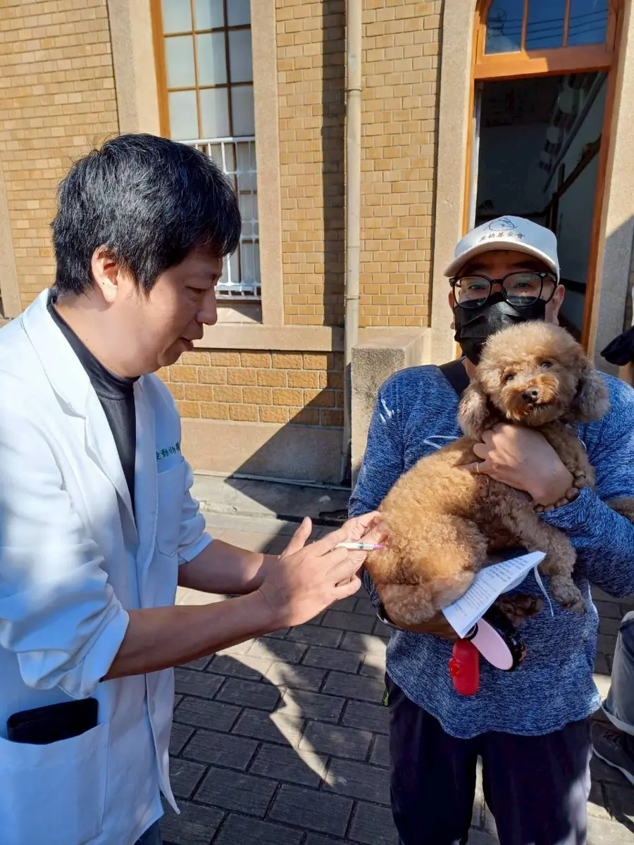 台中毛孩爸媽注意!2026免費狂犬病疫苗巡迴3月開跑,20場次資訊、罰則一次看
