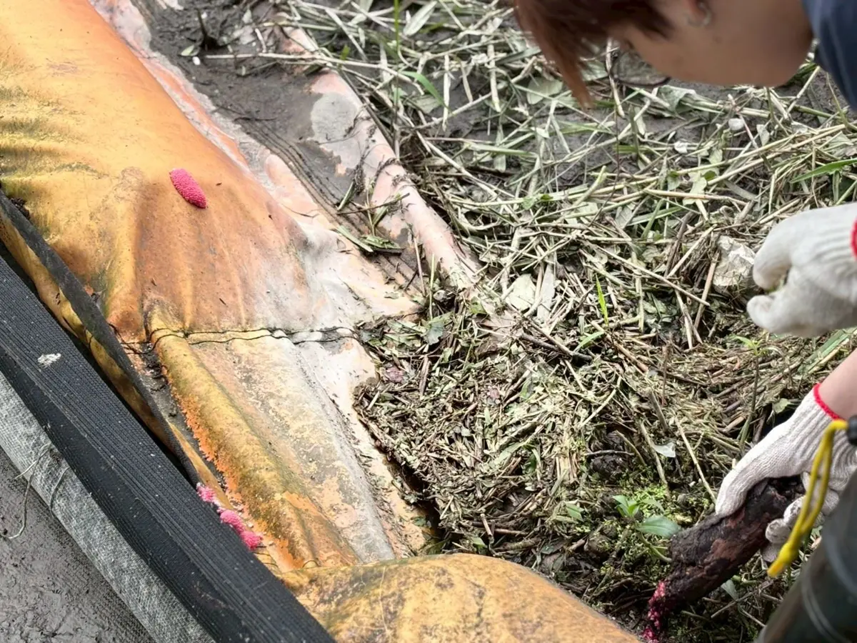 圖片來源:花蓮縣政府