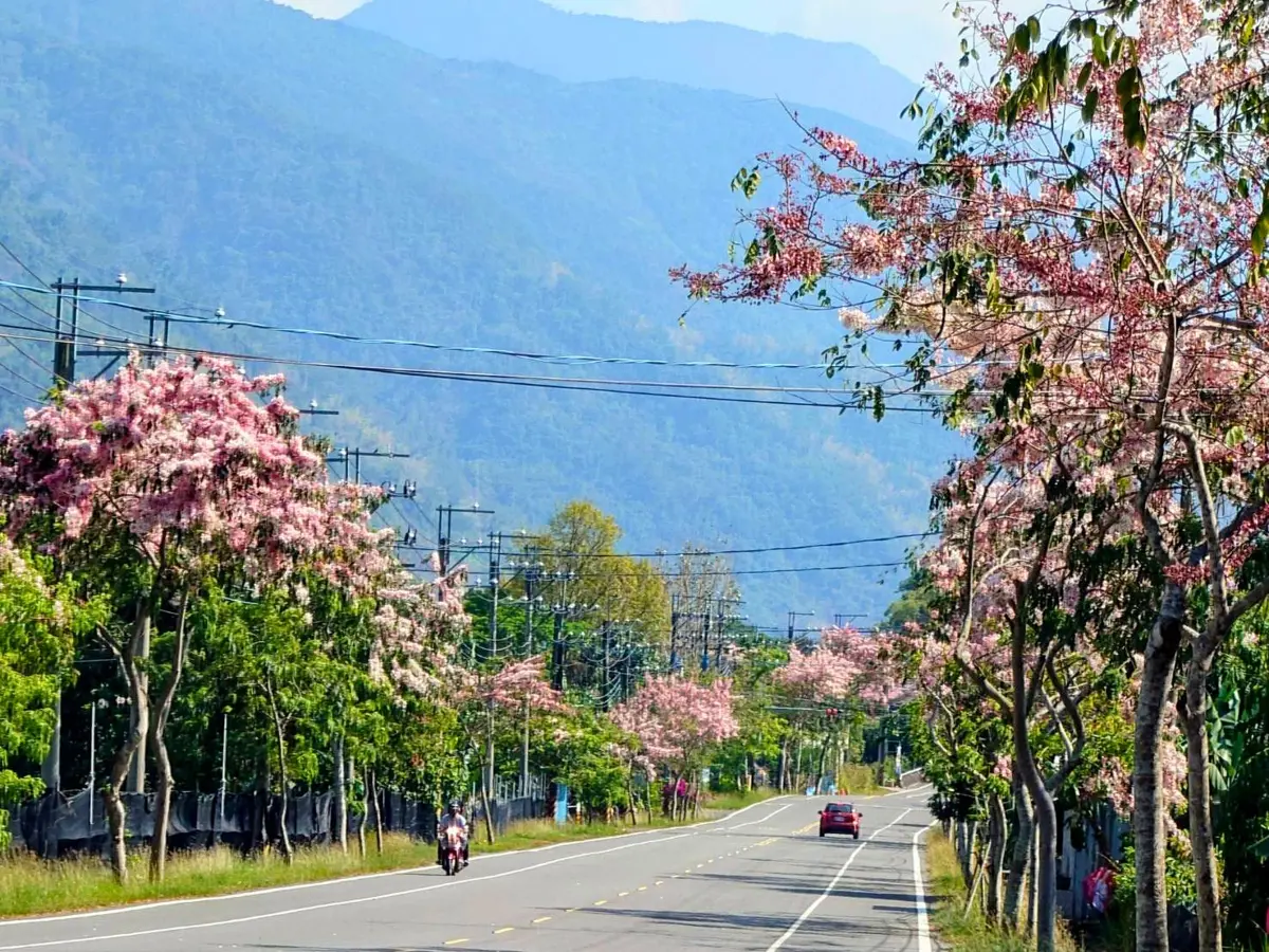 圖片來源:高雄市政府