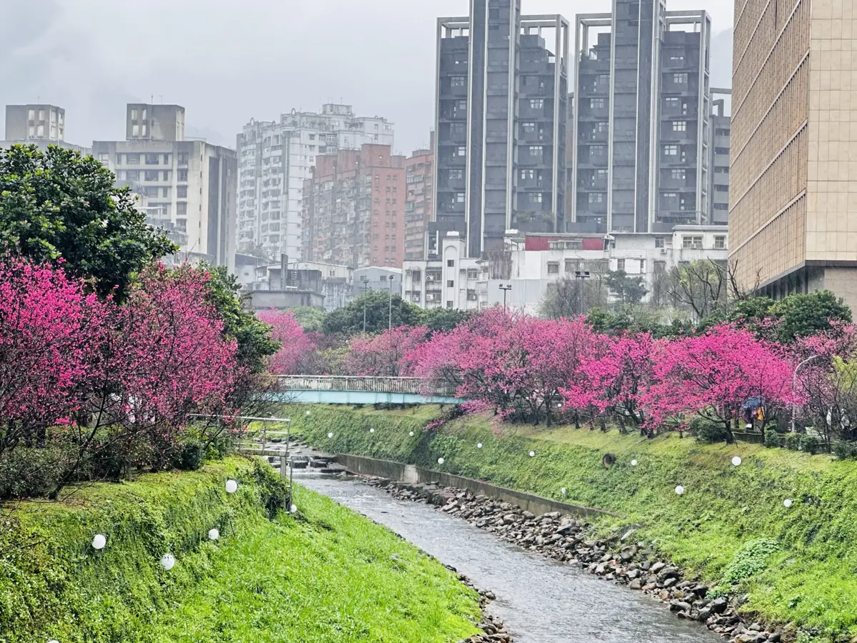圖片來源:新北市政府