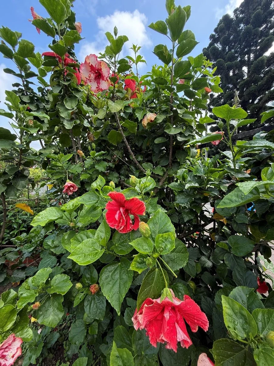 圖片來源：臺北市政府