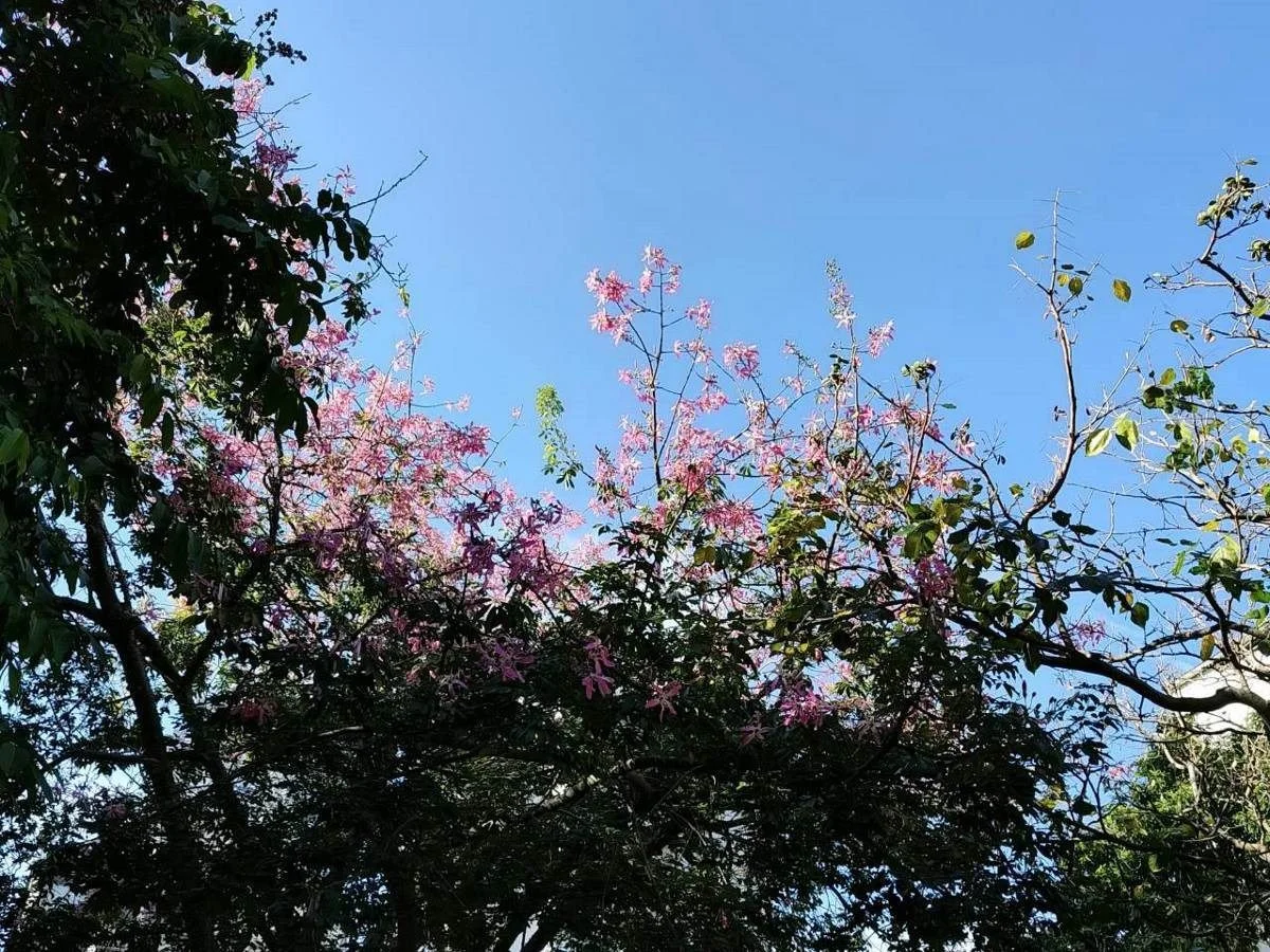 圖片來源:臺北市政府