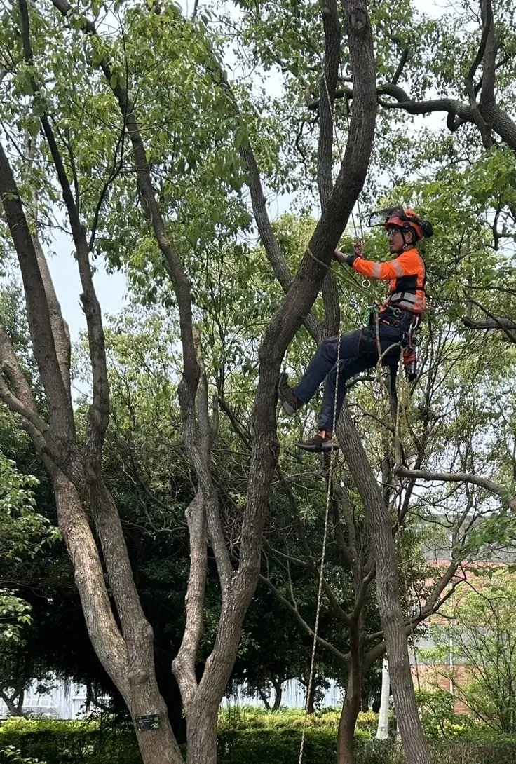 圖片來源:新竹縣政府