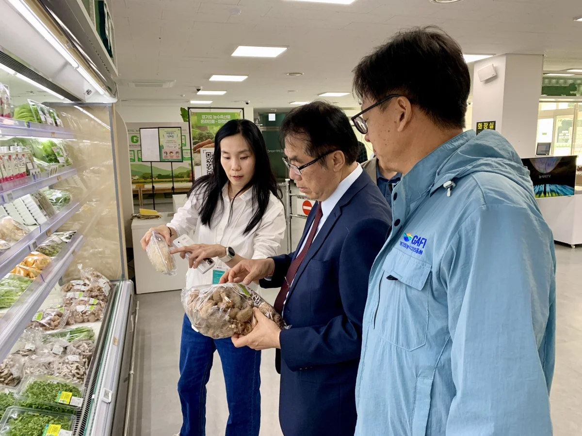 圖片來源:臺南市政府