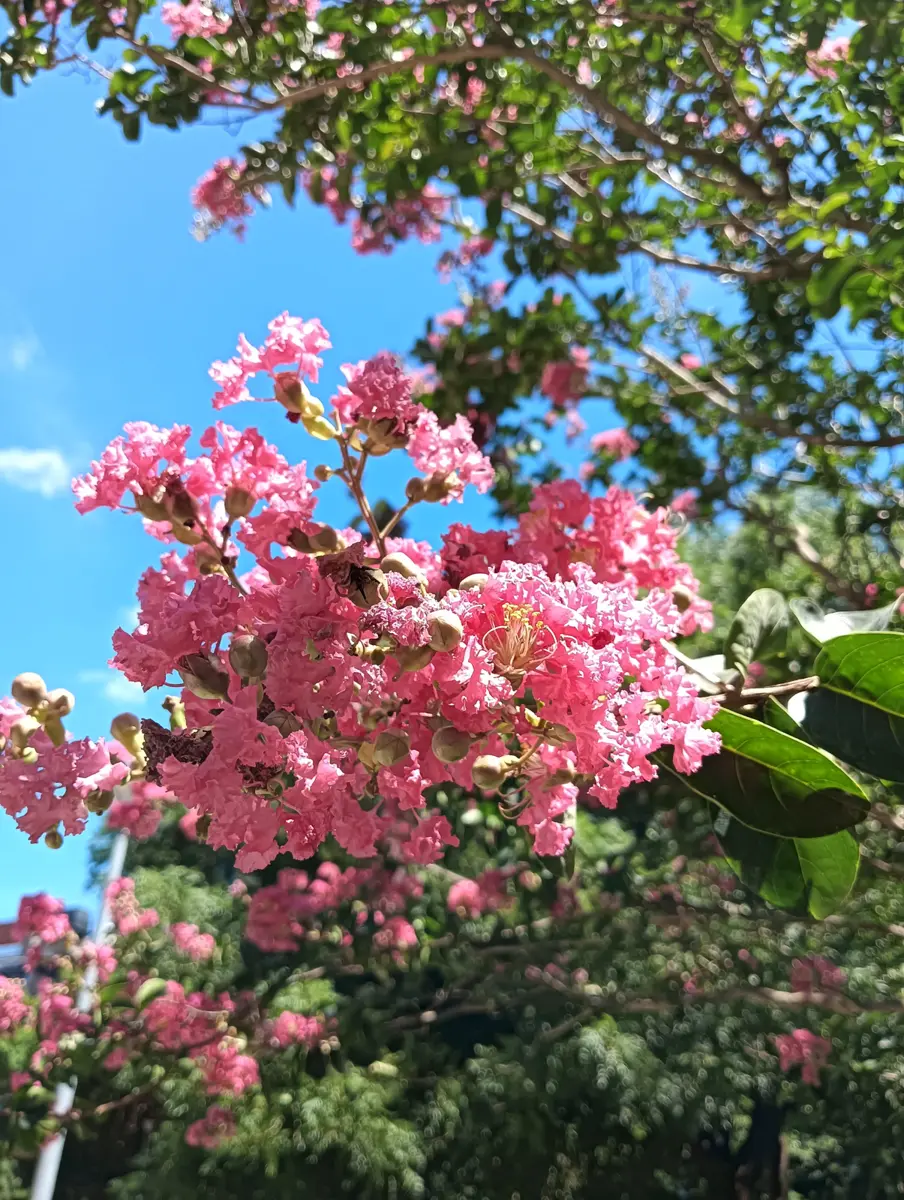 圖片來源：臺北市政府
