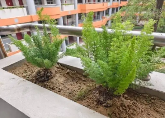 圖片來源:新竹市政府