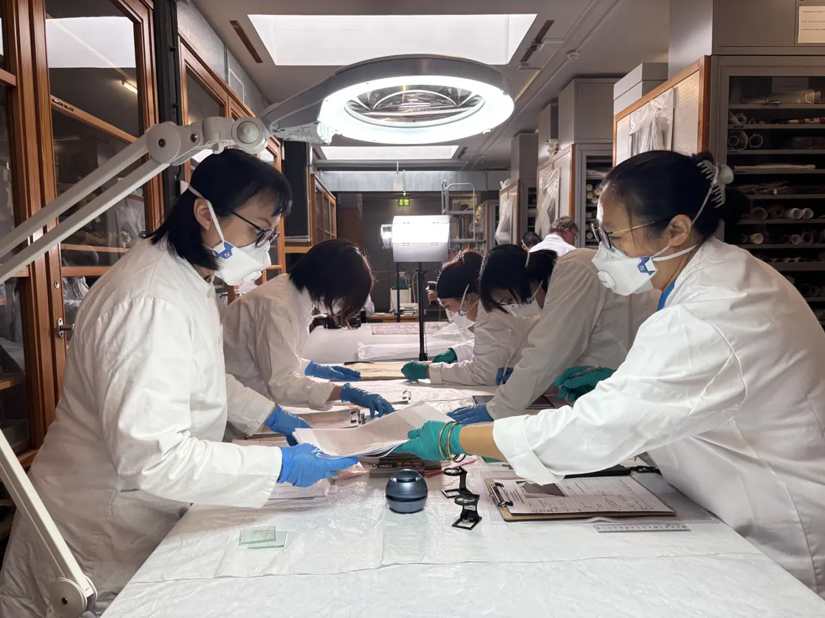 圖片來源:新北市政府