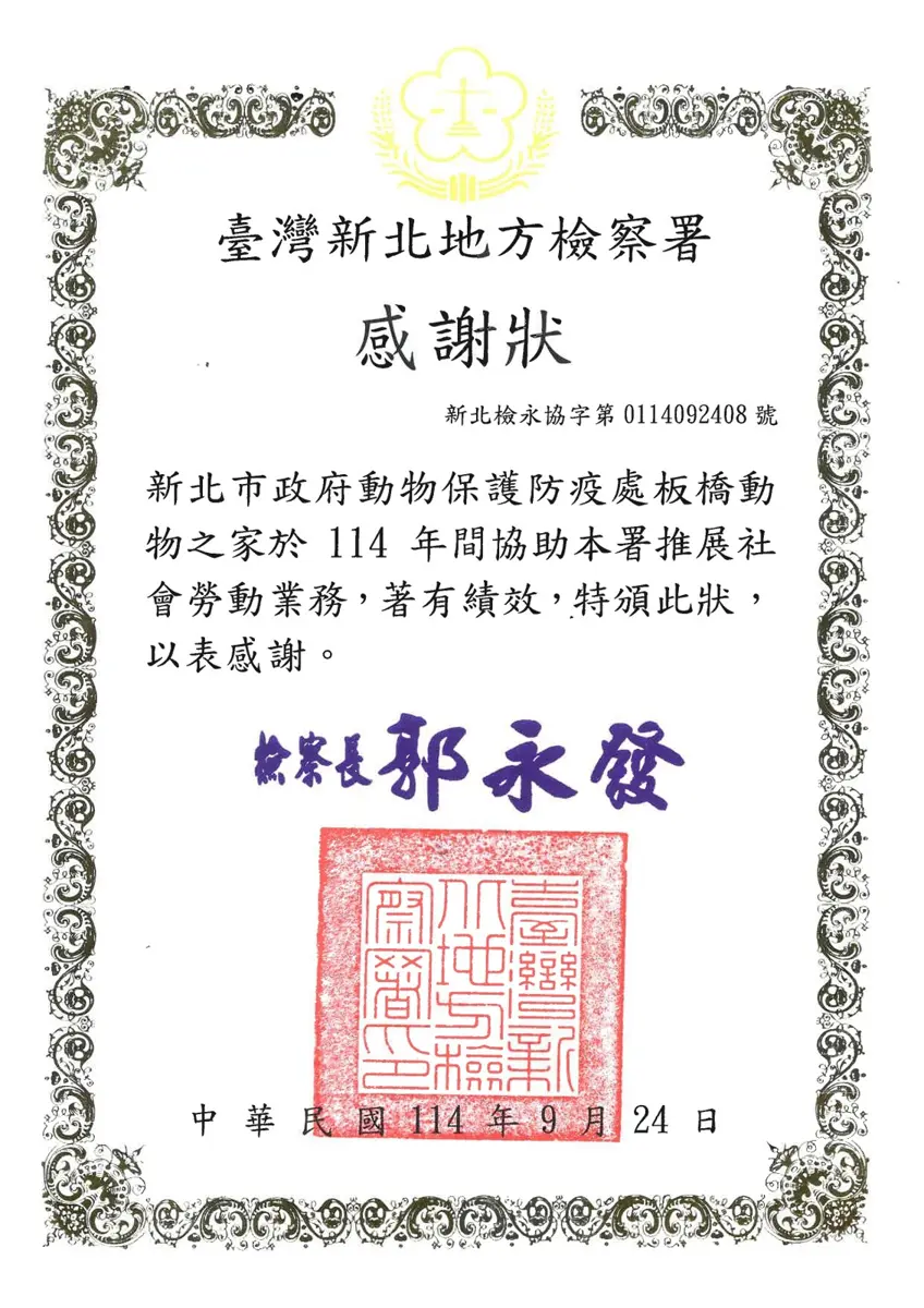 板橋動物之家「浪浪療癒課」奇蹟!社會勞動人從怕狗變志工,12年合作勇奪法務部大獎