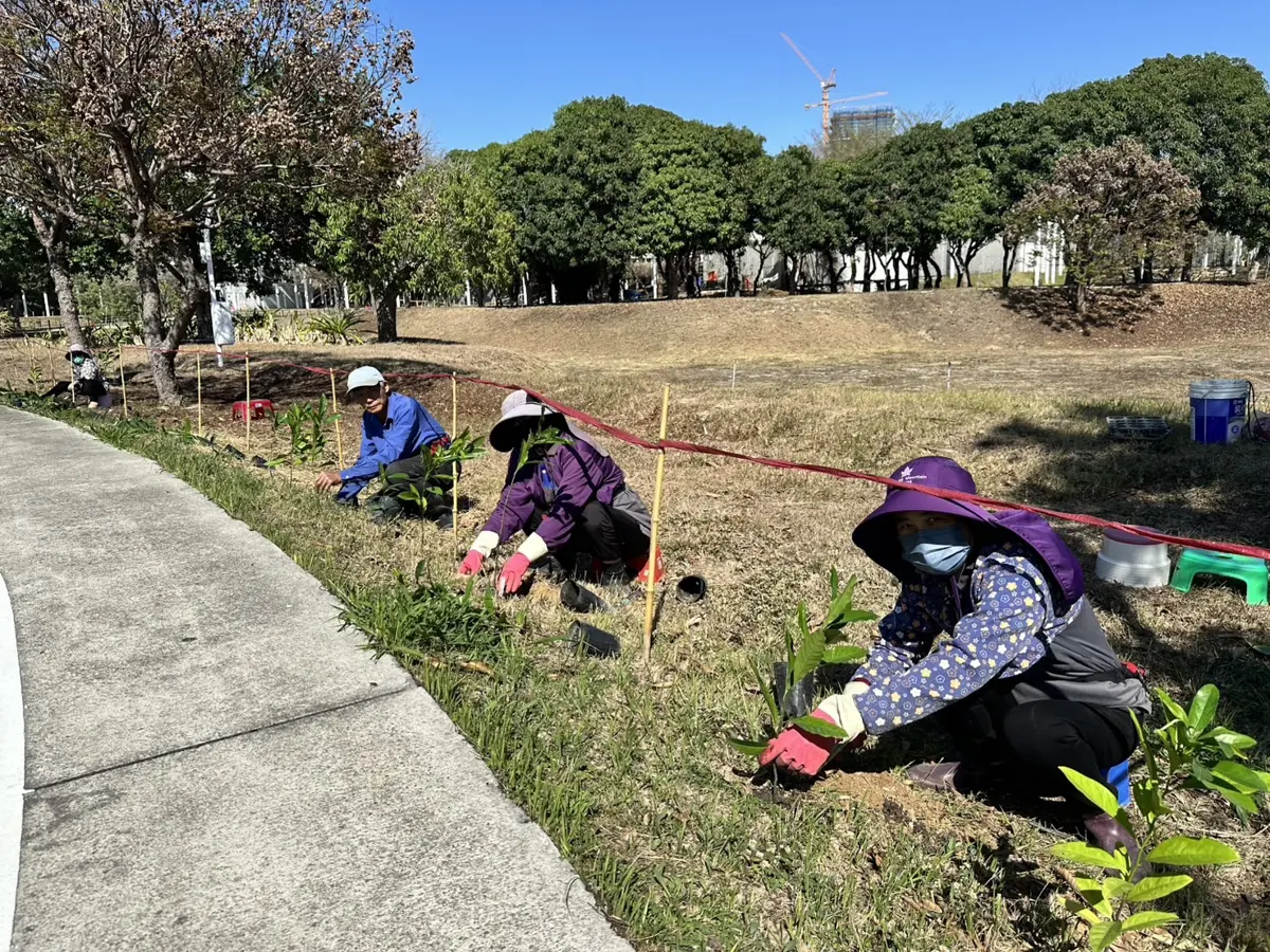 台中中央公園生態大升級!攜手科博館打造「都市原生種苗庫」,引進480株珍稀植物