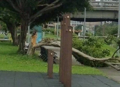 圖片來源：臺北市政府