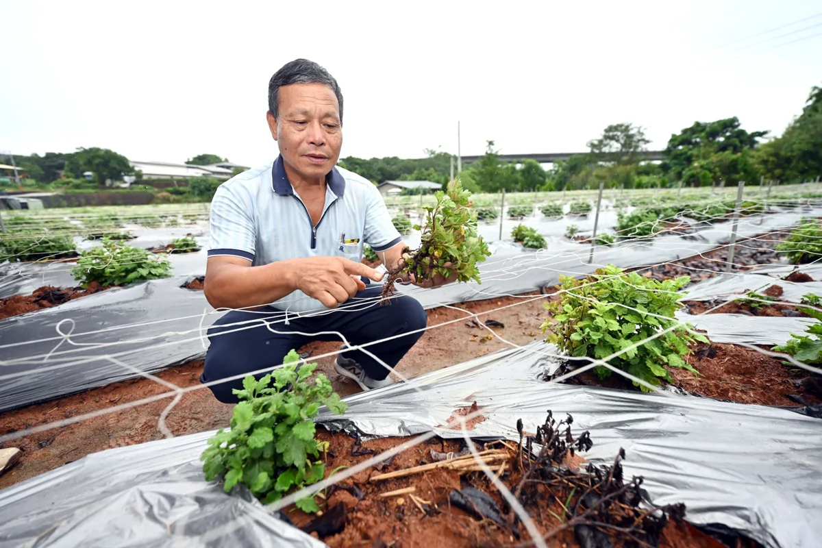 圖片來源：苗栗縣政府