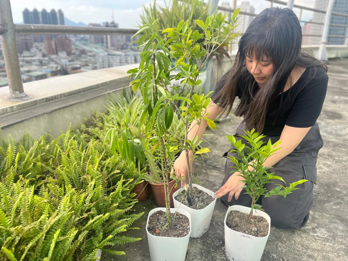 圖片來源:新北市政府