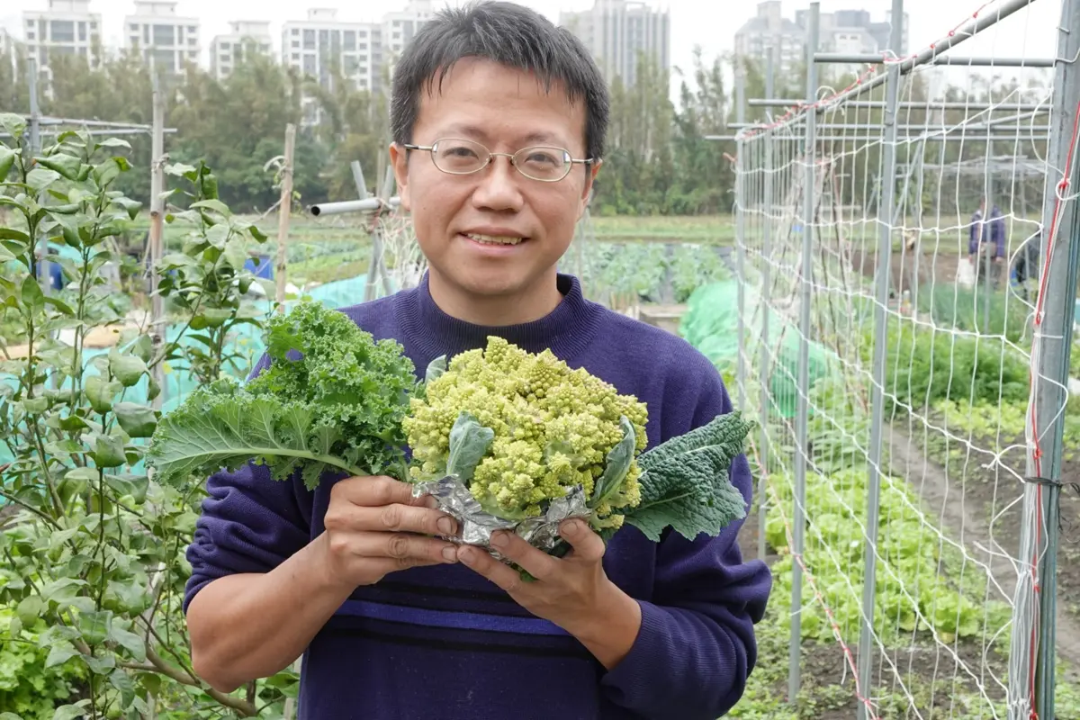 圖片來源:新北市政府