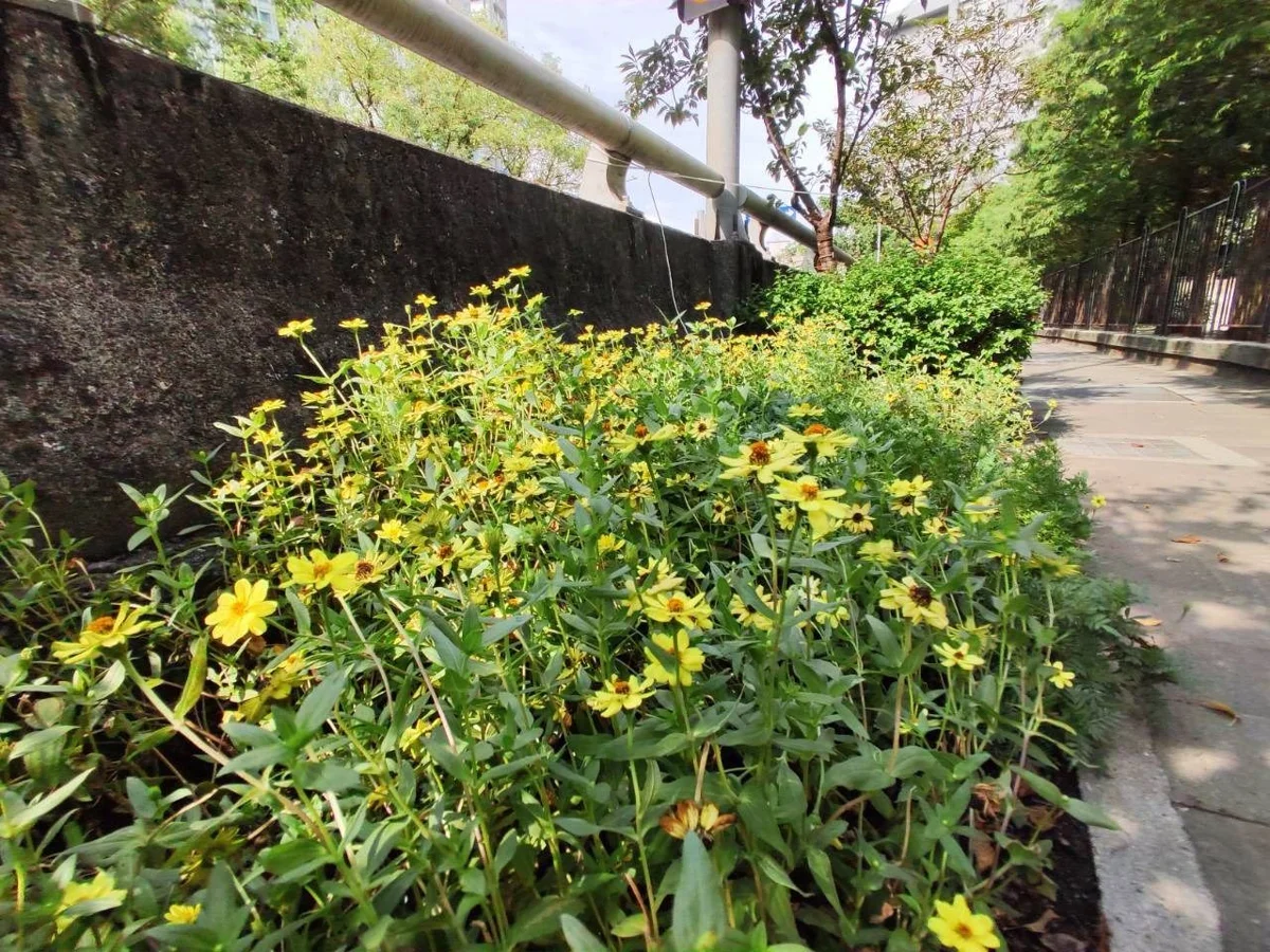 圖片來源：臺北市政府