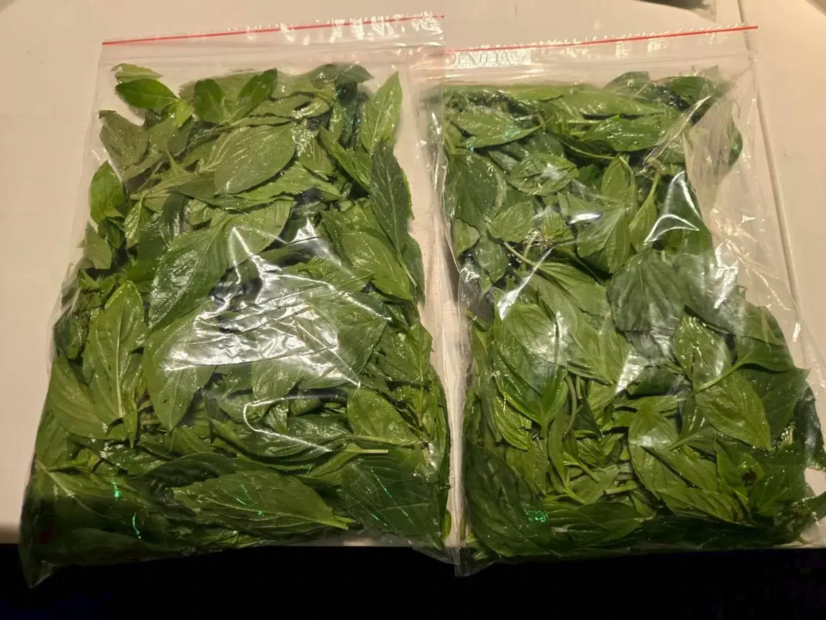 圖片來源：臺北市政府