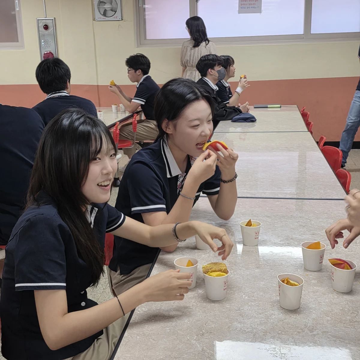 韓國高中生也瘋狂!黃偉哲跨海送愛文芒果,師生拍片甜喊:「超幸福」