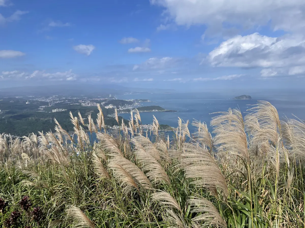圖片來源:新北市政府