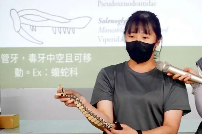 圖片來源:金門縣政府