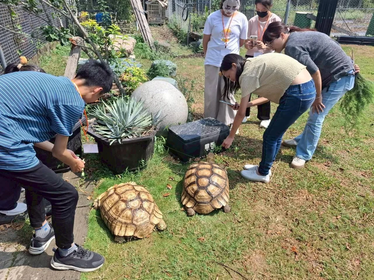 圖片來源:臺南市政府