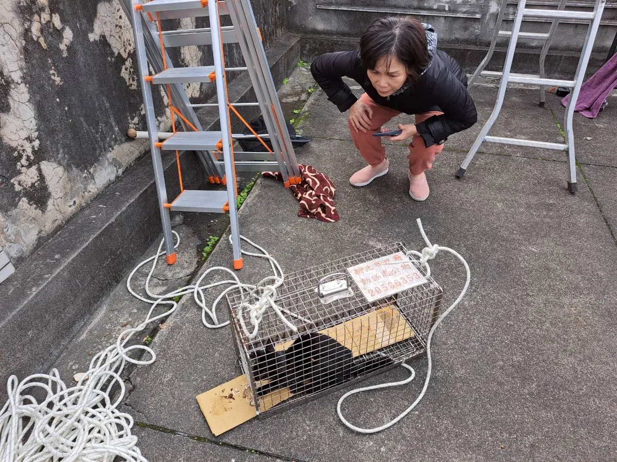 圖片來源:新北市政府