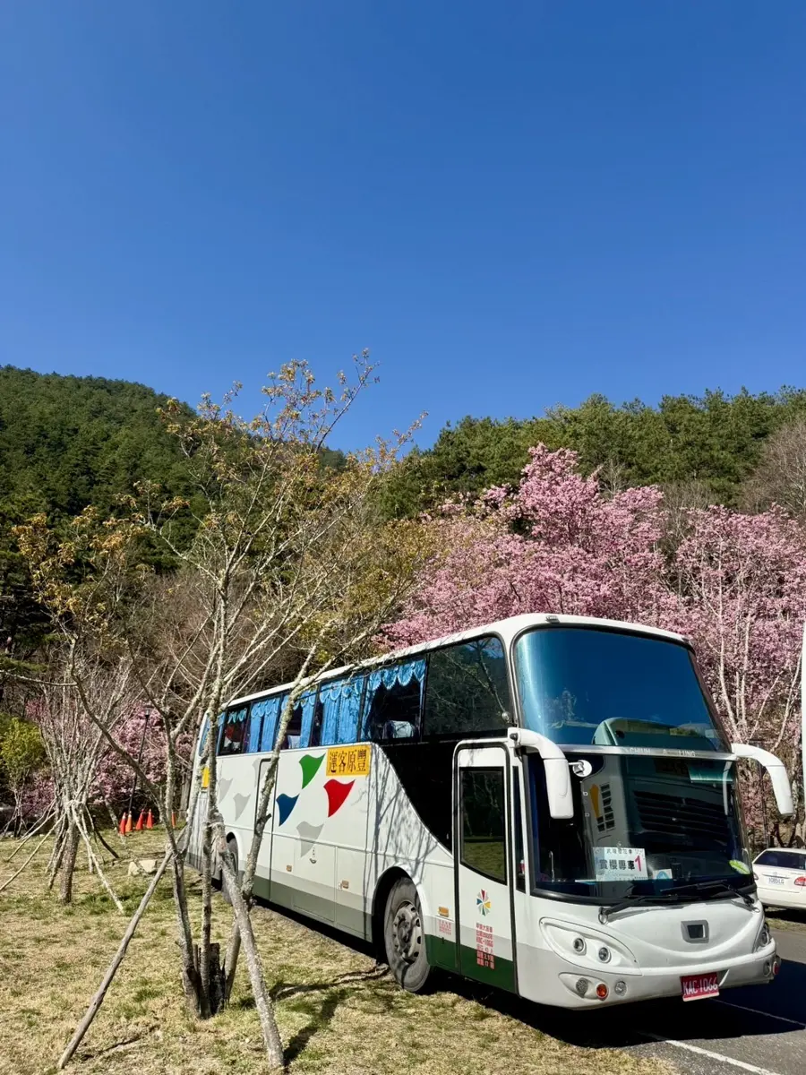 圖片來源:臺中市政府