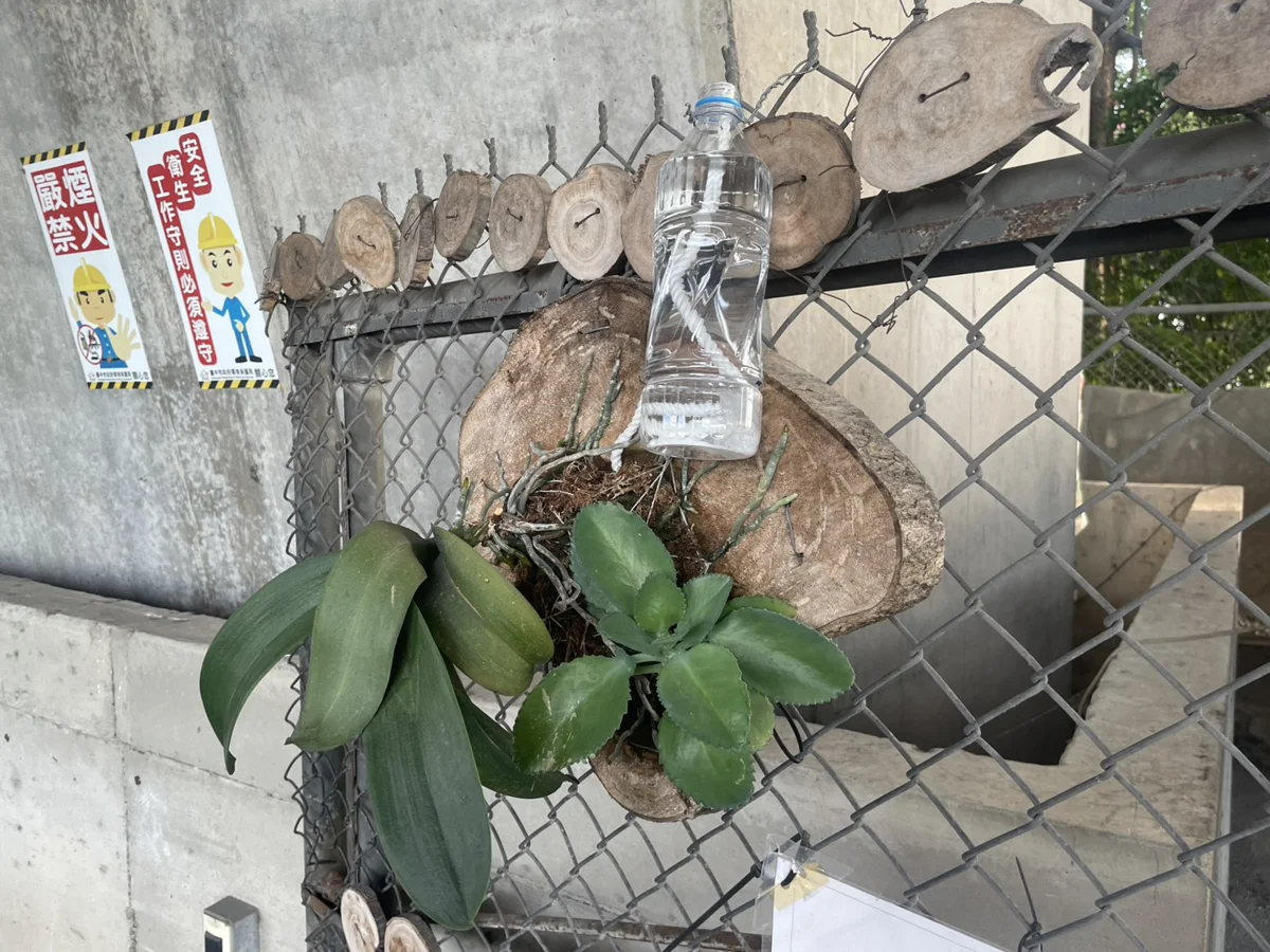 圖片來源:臺中市政府