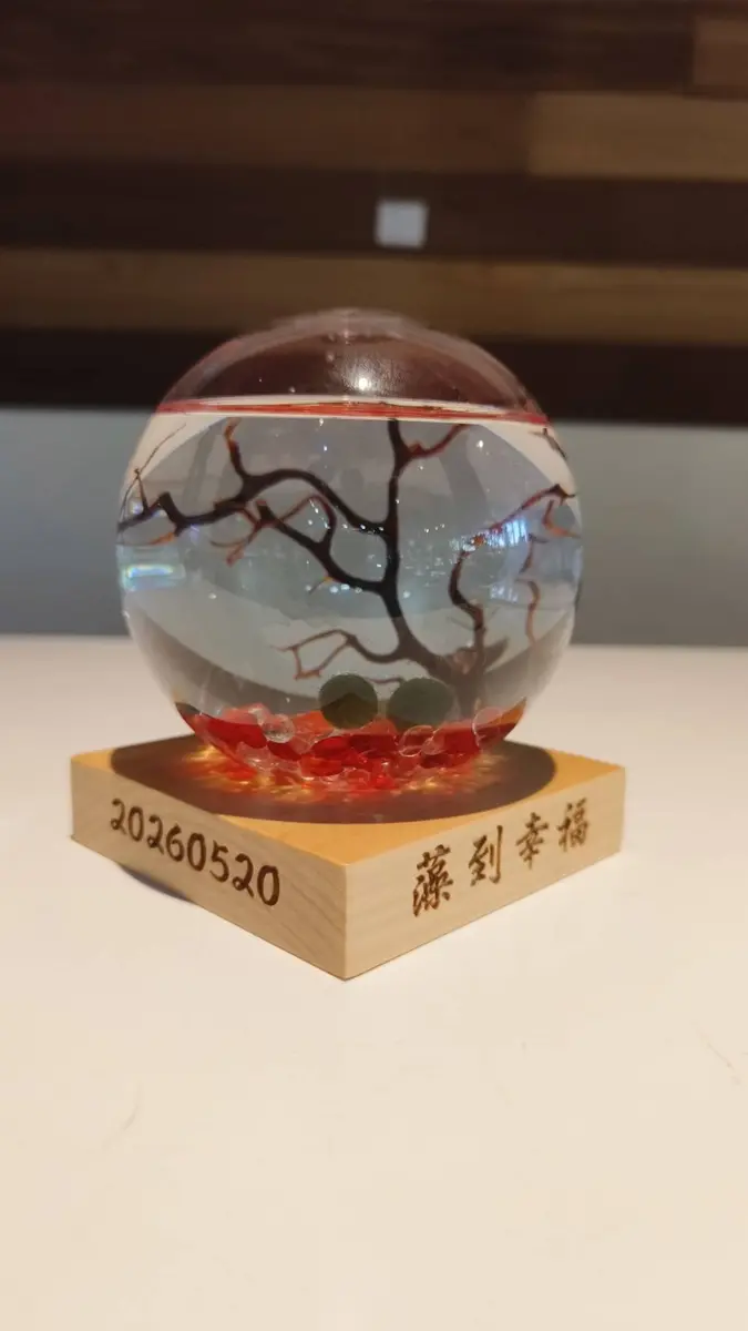 520登記結婚趁現在!宜蘭縣府送「藻到幸福」生態瓶,限量開搶!