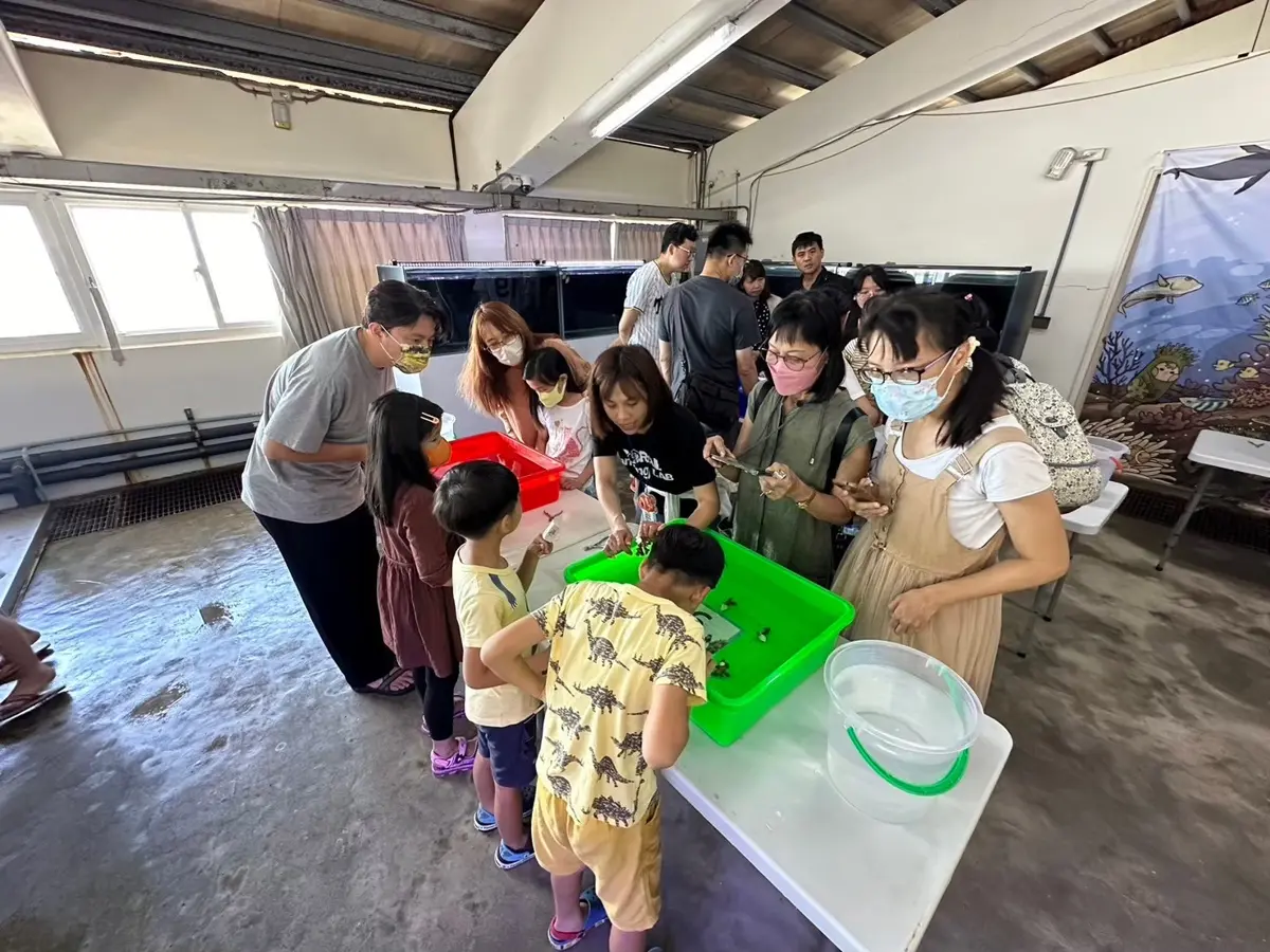 圖片來源:新北市政府